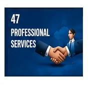 Professional Services website solutions